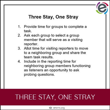 Three Stay One Stray